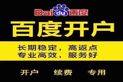 竞价托管实战案例：优化广告投放策略